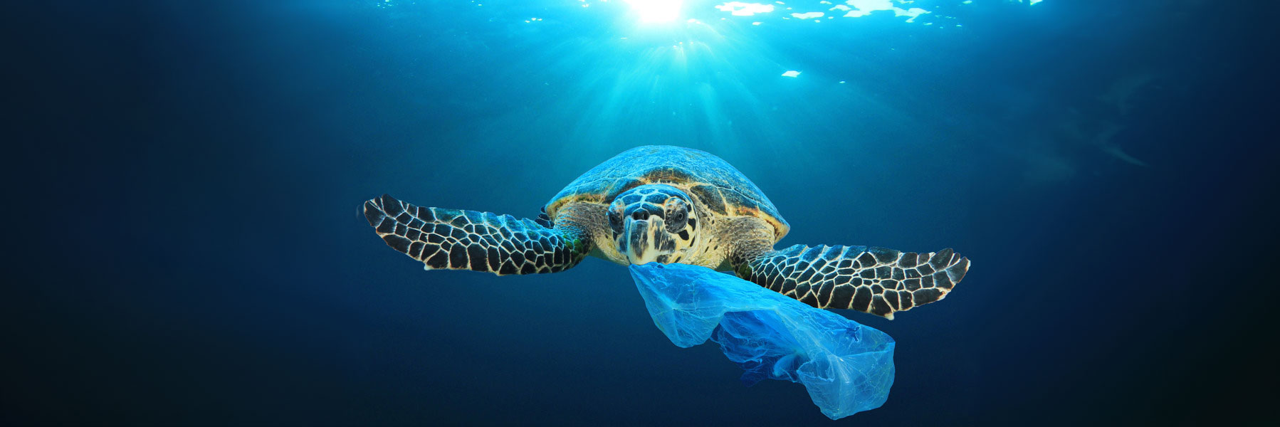 Julio Libre de Plástico nos anima a todos a reducir los residuos plásticos - article image