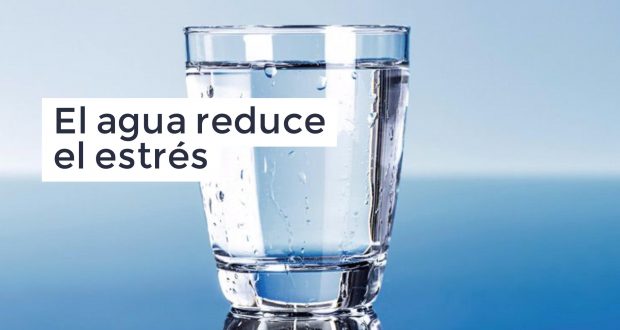 Beber agua reduce el estrés y mejora el estado de ánimo - article image